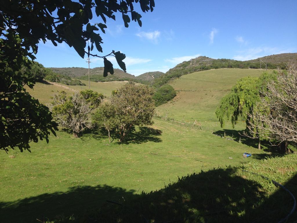 Waterryk Eco Guest Farm Lejlighed Stilbaai Eksteriør billede